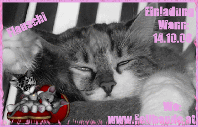 Bärli's Fellige Einladung! Fellbaby's Fellige Einladung!