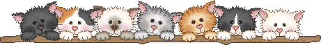dividers/ct2ln1a.gif