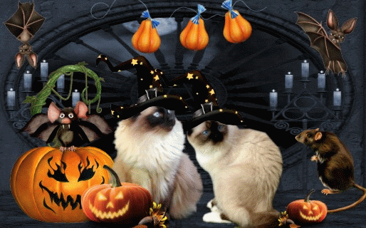 Linus & Sassys Felloweenkammer!