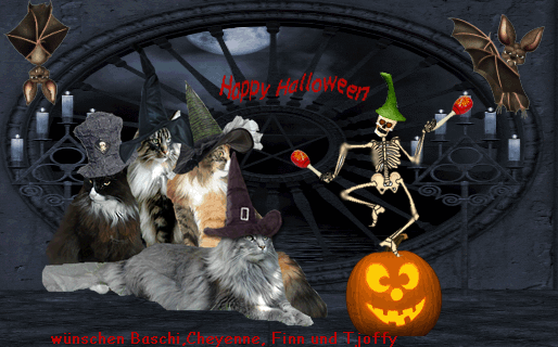 Waldkatzens Felloweenkammer!