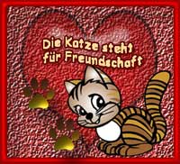 Freundschaftskatzi!