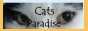 Catsparadise
