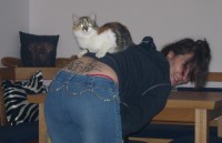 =^..^= Fellbande =^..^= 