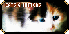 Cats&Kittens