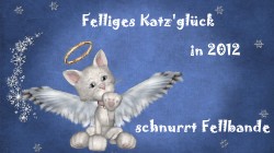 Fellsilvester! Fellsilvester!