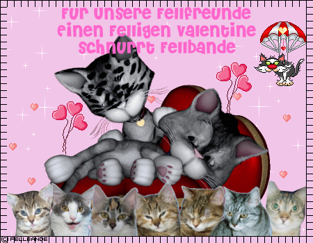 Fellbandes Valentine!