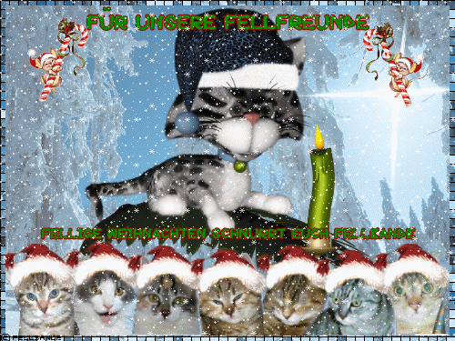 Fellige Weihnachten schnurrt Euch Fellbande! Fellige Weihnachten schnurrt Euch Fellbande!