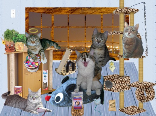 Bitte hier auf den Lichtschalter pfoteln!