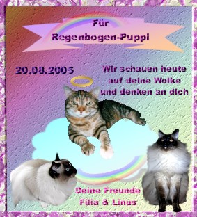 Mauzelchen liebe Puppi,
wir schauen heute in den Himmel und sehen ganz viele rosa Wölkchen. Und ein Wölkchen leuchtet heute besonders doll in allen Regenbogenfarben. Wir schauen noch einmal und noch einmal und nun können wir dich auf dem leuchtenden Wölkchen erkennen. Wir freuen uns so sehr, daß wir dich heute an deinem Regenbogentag entdecken können und sind glücklich, daß alle Freunde bei dir sind.
Und damit du weißt, daß auch wir hier auf der Erde ganz fest an dich denken, haben wir dir ein kleines Schenkli gebastelt und einen Engelsboten gebeten dir dein Geschenk von uns zu bringen und einen lieben Gruß von uns zu bestellen. Der Bote hat uns sogar ein besonderes Fernglas mitgebracht, damit wir dich noch genauer sehen können :-)
Wir schicken dir also hier noch ganz liebe Schmuselchens mit auf deine Wolke
herzliche Miaus von deinen Erdenfreunden
Filia und Linus